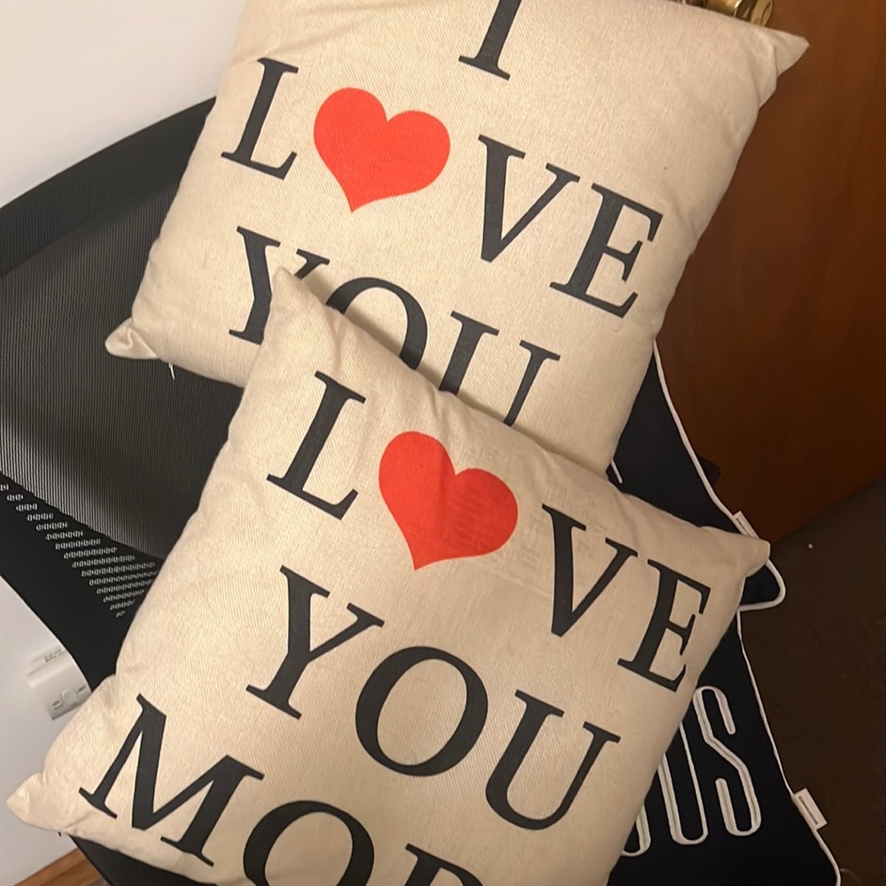 Super cute throw pillows in good condition